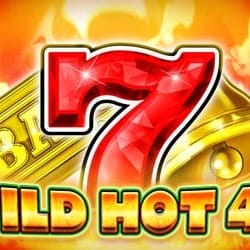 WILD HOT 40 thumbnail